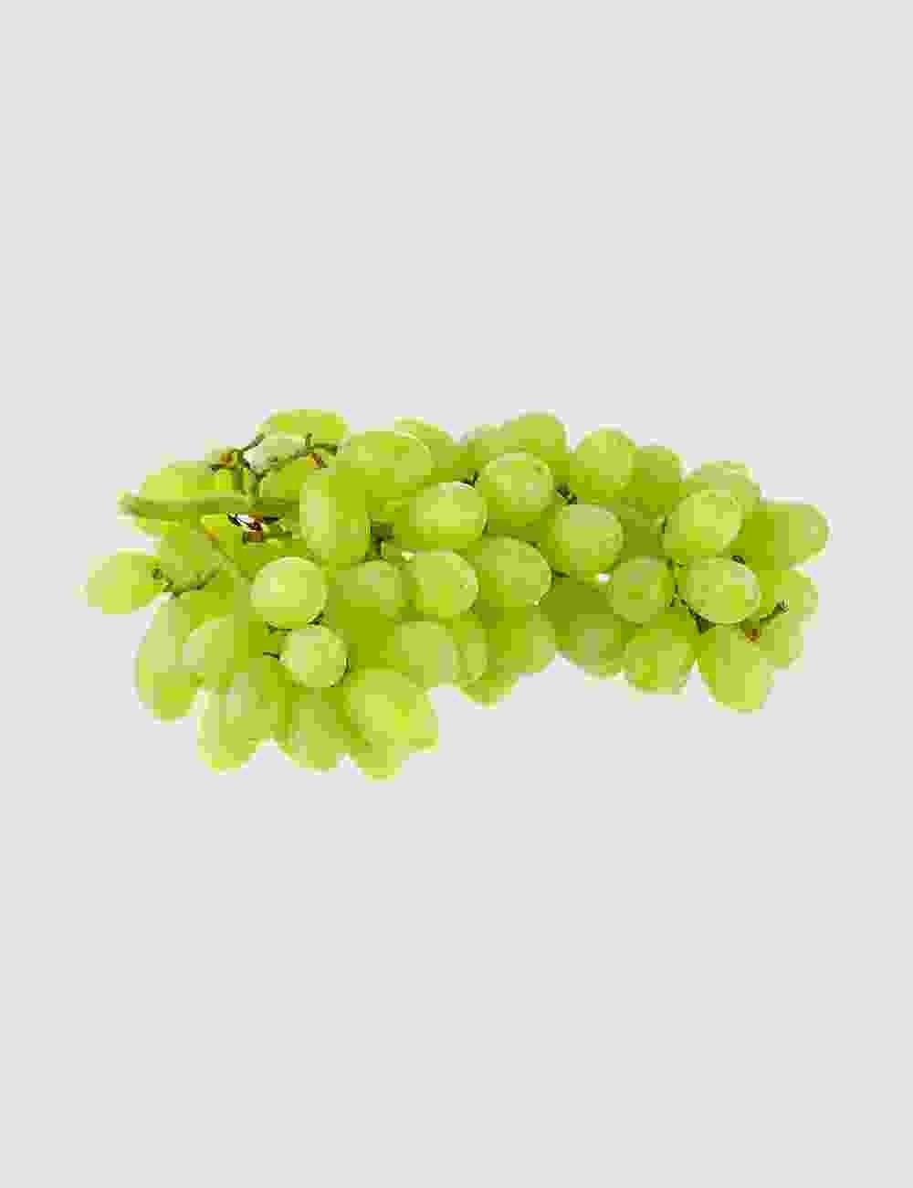 Shop Secondary Image